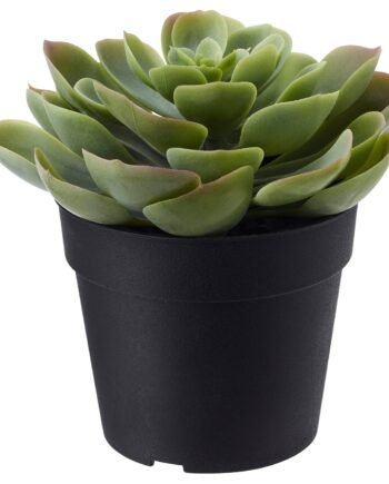 Artificial potted plant, in/outdoor Succulent, 9 cm